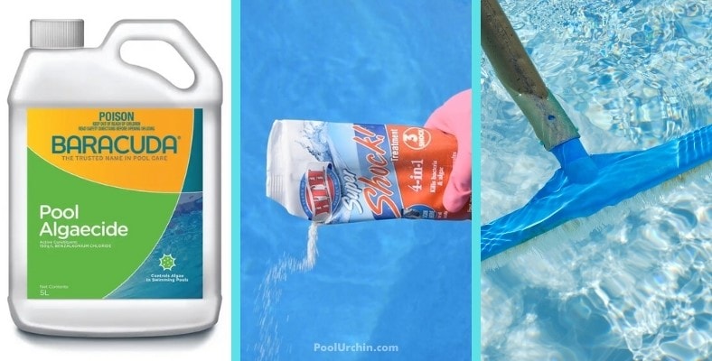 how to get algae out of a pool without a vacuum