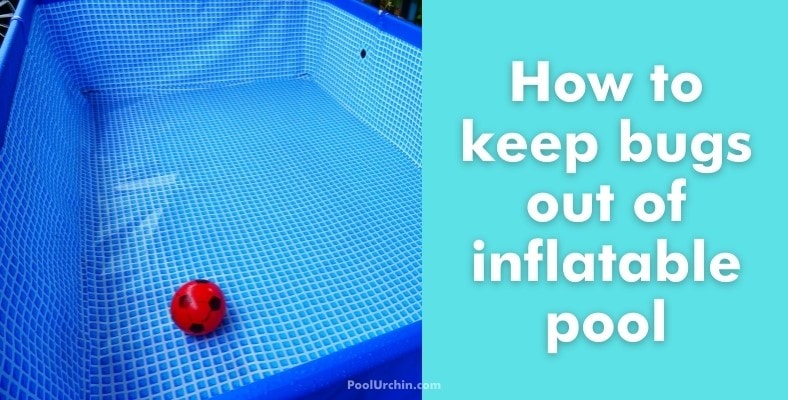 how to keep bugs out of inflatable pool