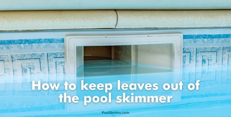 how to keep leaves out of the pool skimmer