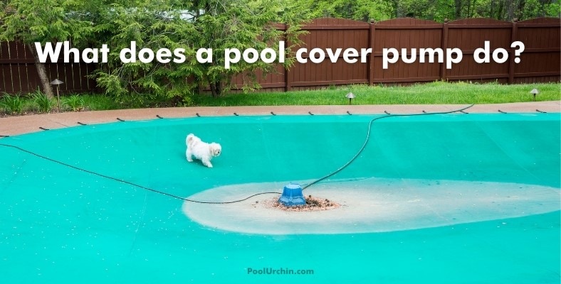 what does a pool cover pump do