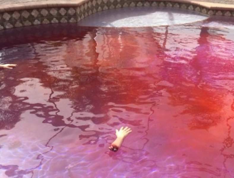 Blood Red Swimming Pool Halloween